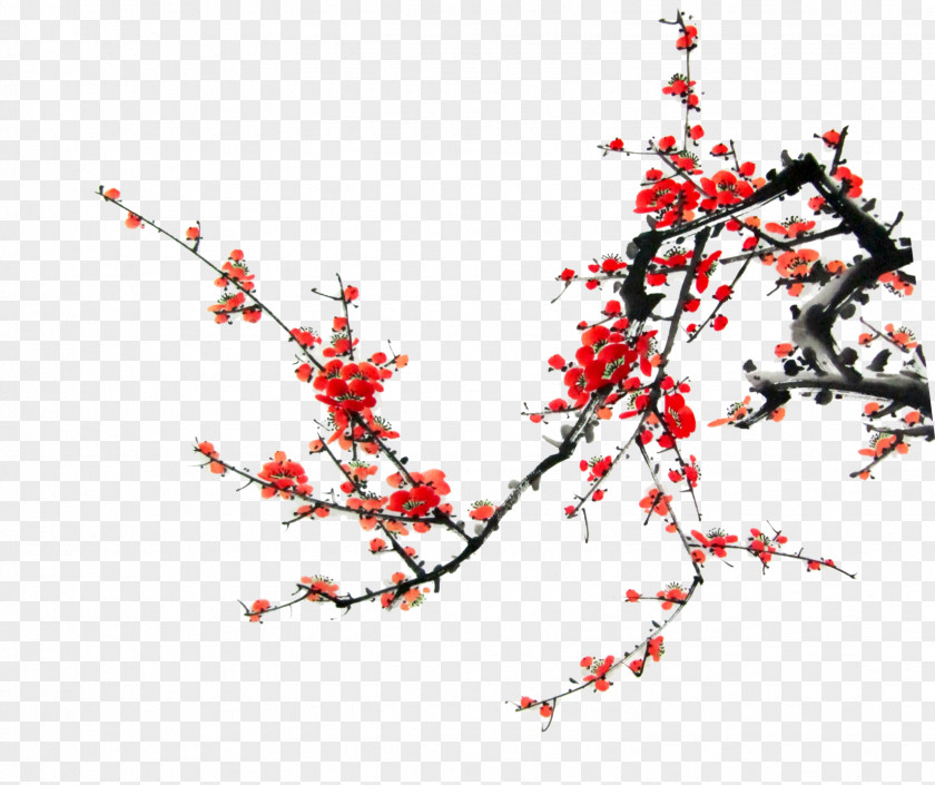 Red Plum Bird Blossom PNG