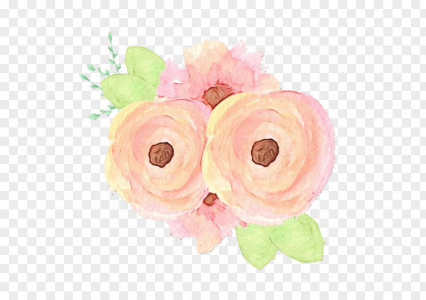 Rose Family Watercolor Paint PNG