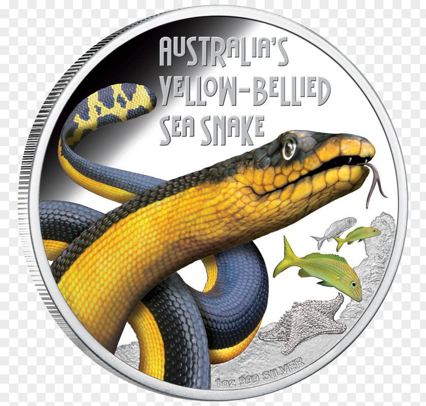 Sea Snake Yellow-bellied Coral Reef Snakes Perth Mint Eastern Brown PNG