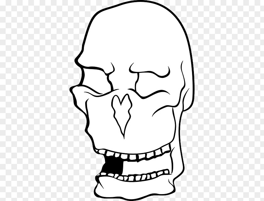 Skull Human Symbolism Nose Clip Art PNG