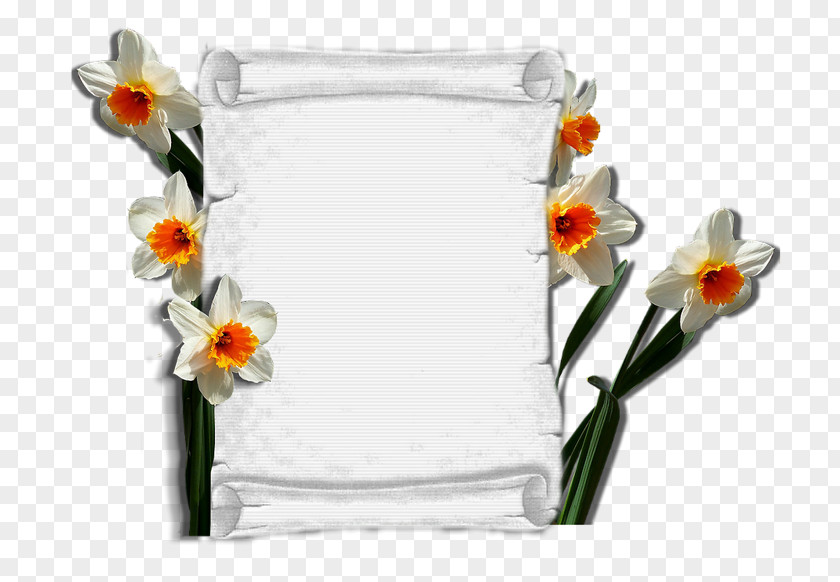 Vase Floral Design Cut Flowers PNG