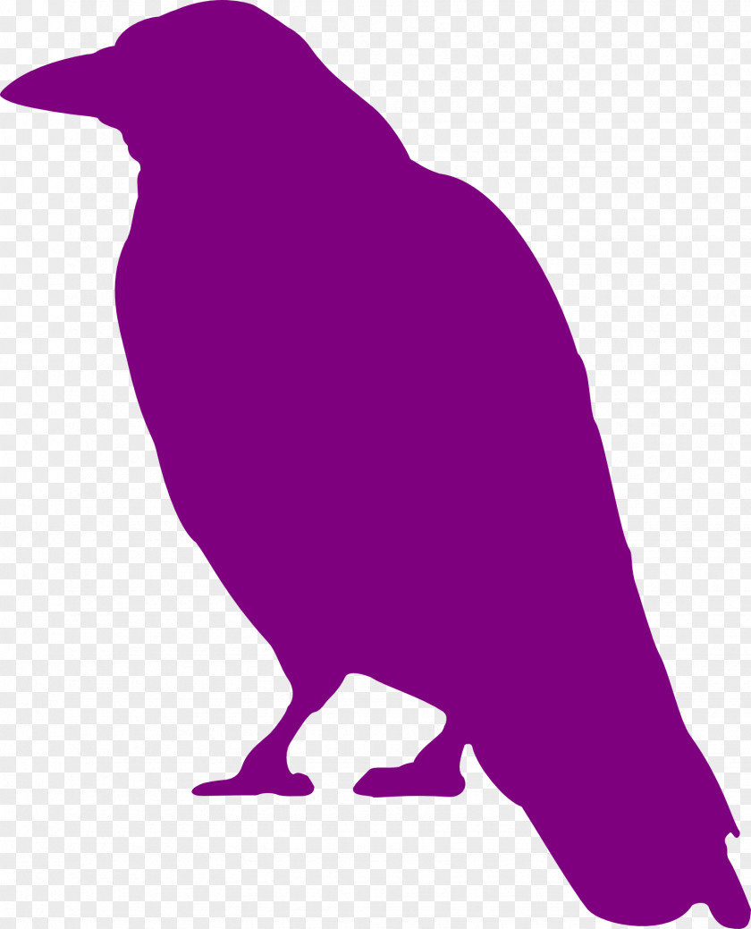 Animal Silhouettes Common Raven Bird Crow Silhouette Clip Art PNG