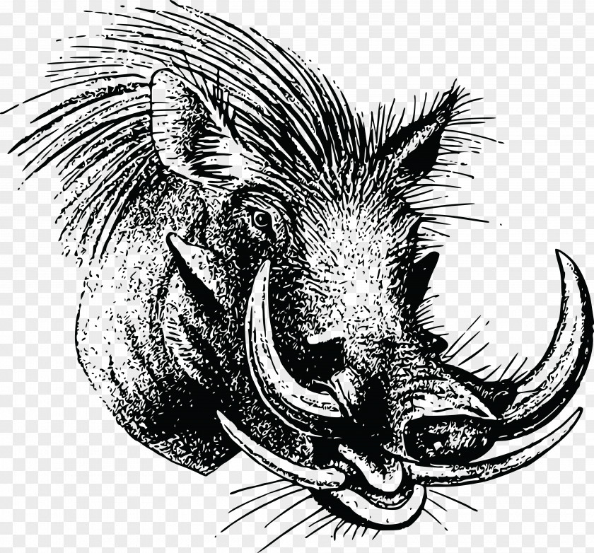 Boar Wild Common Warthog Clip Art PNG