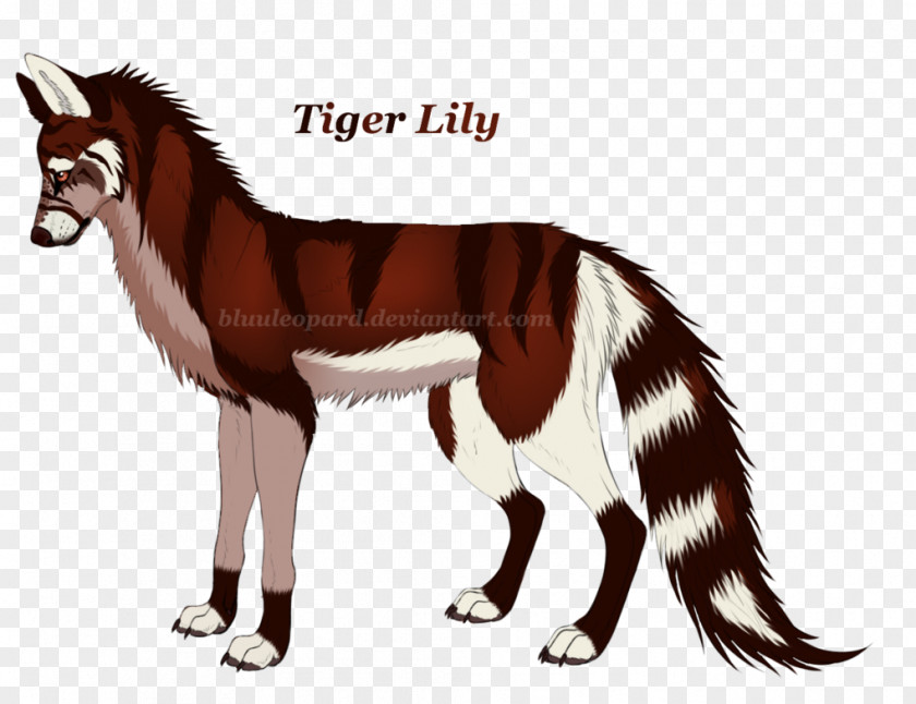 Dog Cat Horse Fur Paw PNG