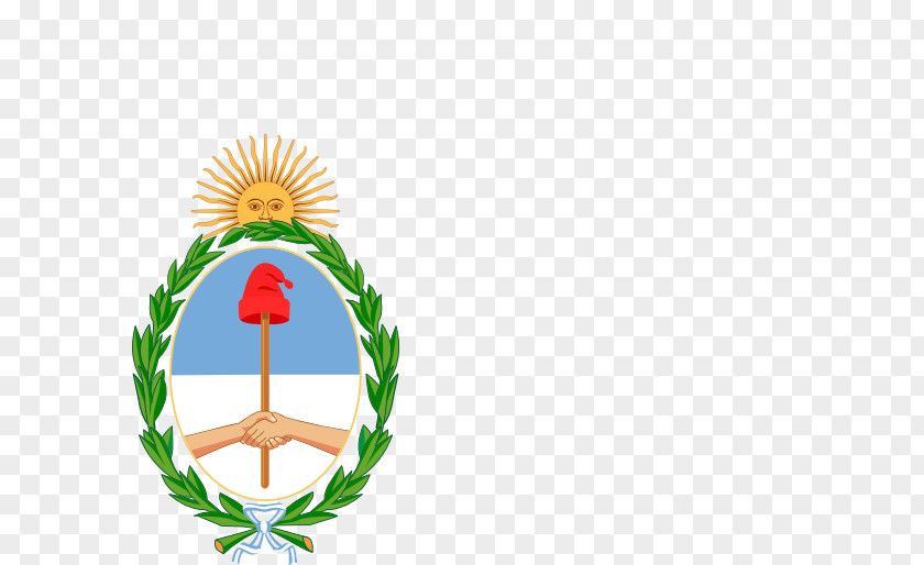 Emblem Argentina Flag Cartoon PNG