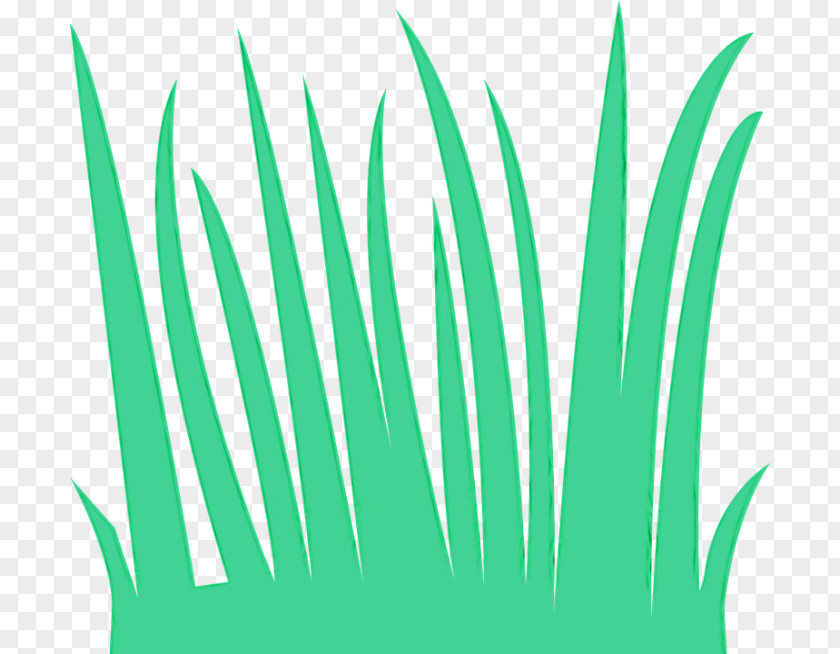 Plant Grass Transparency Silhouette Lawn Website PNG