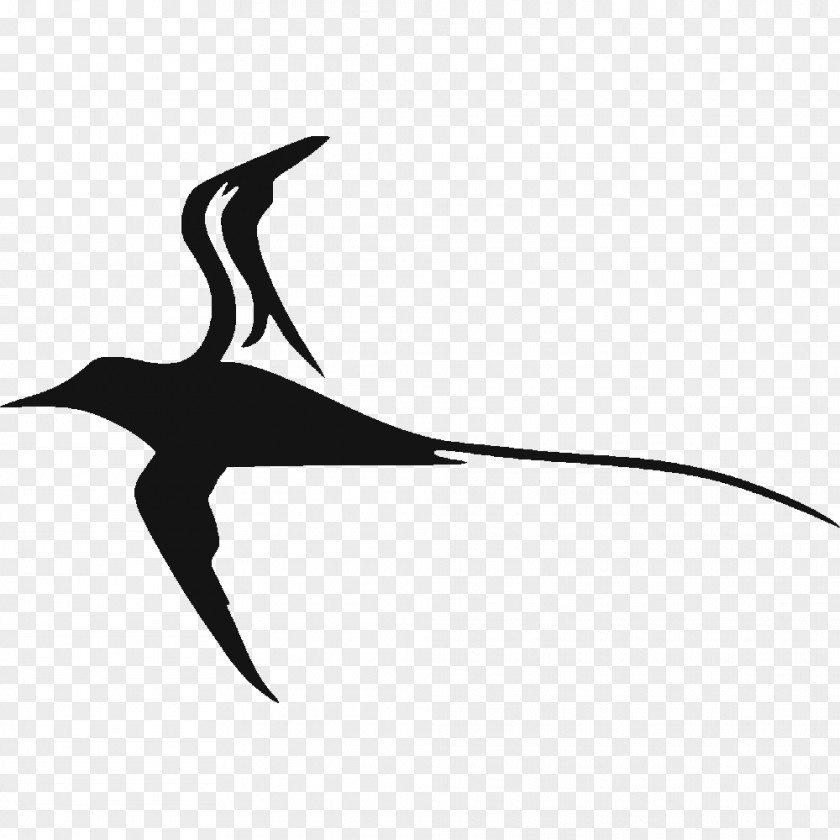 Stickers Label Sticker Decal Tropicbirds Logo PNG