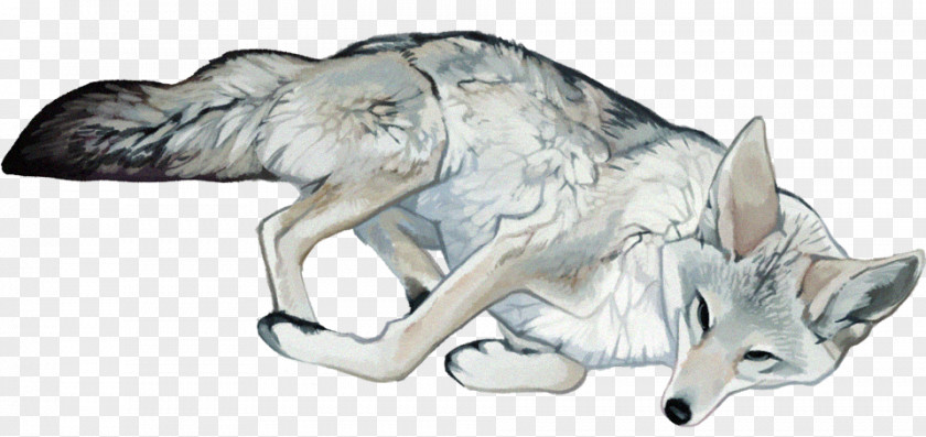 Black And White Wolf Gray Coyote Digital Art Illustration PNG