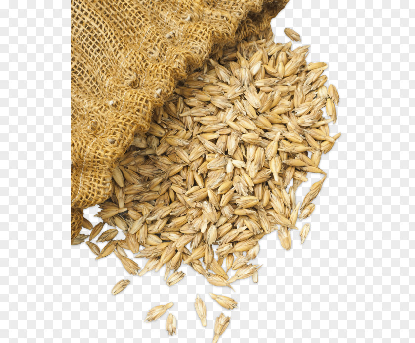 Bread Oat Whole Grain Spelt Vegetarian Cuisine PNG