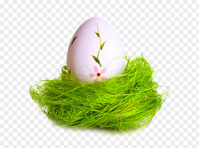 Eggs On A Green Silk Easter Bunny Holiday Egg PNG