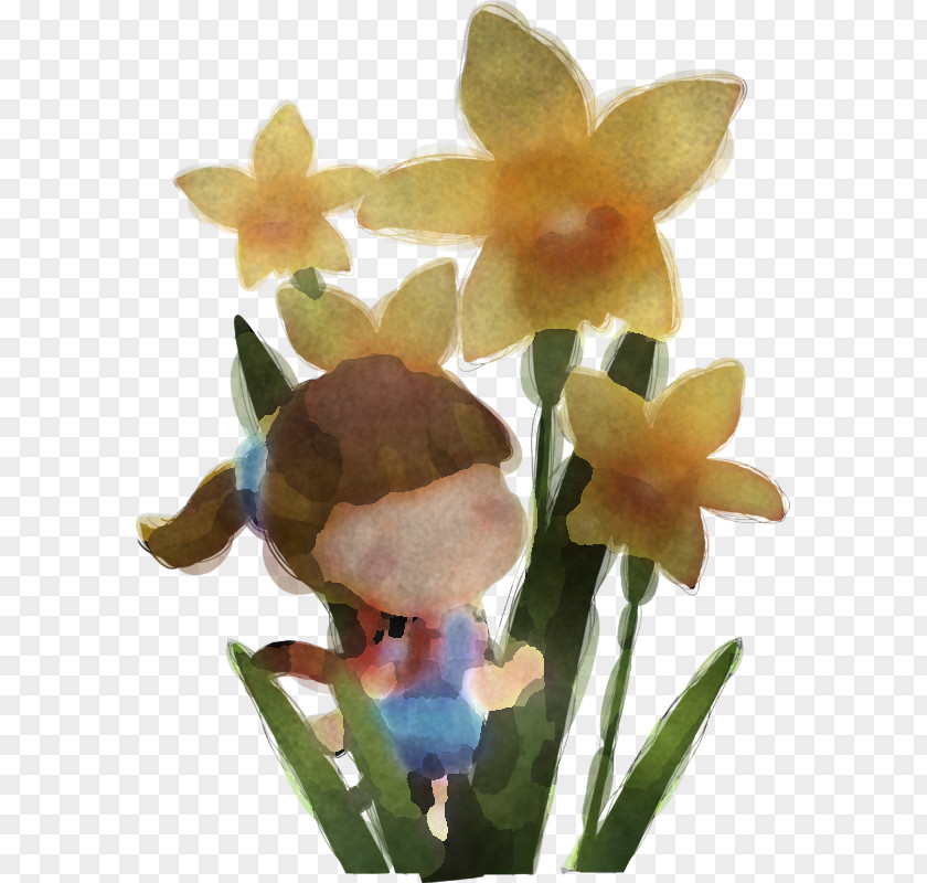 Flower Plant Terrestrial Petal Orchid PNG