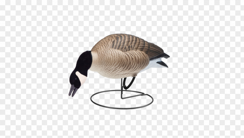 Goose Decoy Duck Waterfowl Hunting PNG
