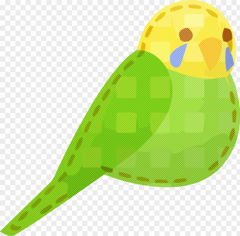 Green Parakeet Yellow Parrot Budgie PNG