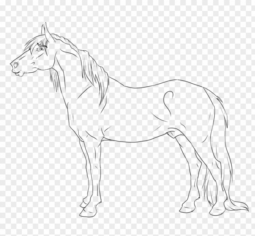 Paint Sky Mule Foal Stallion Bridle Colt PNG