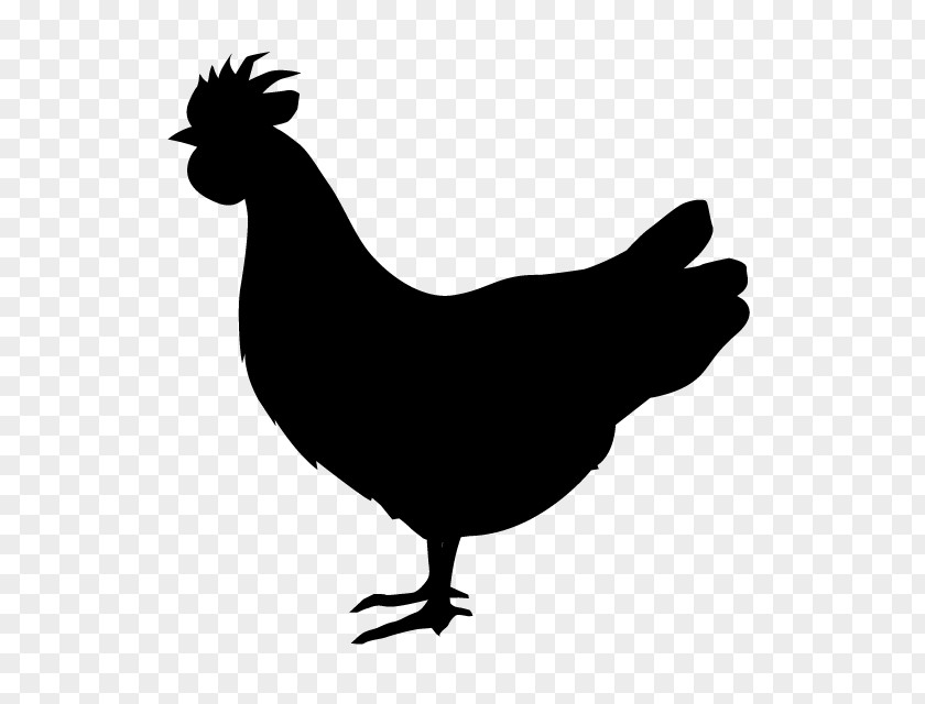 Silhouette Rooster Silkie Clip Art PNG