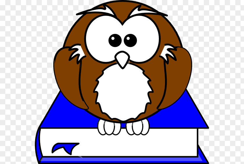 Wise Man Owl Bird Cartoon Clip Art PNG