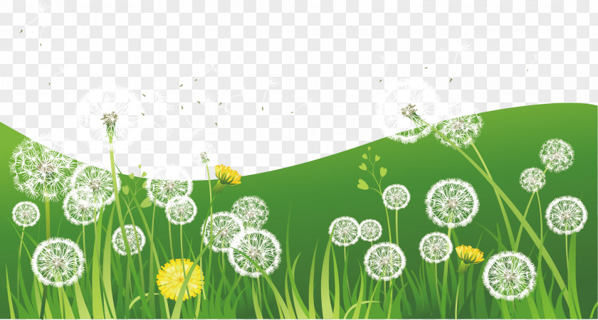 Dandelion Grass Nature Green Illustration PNG