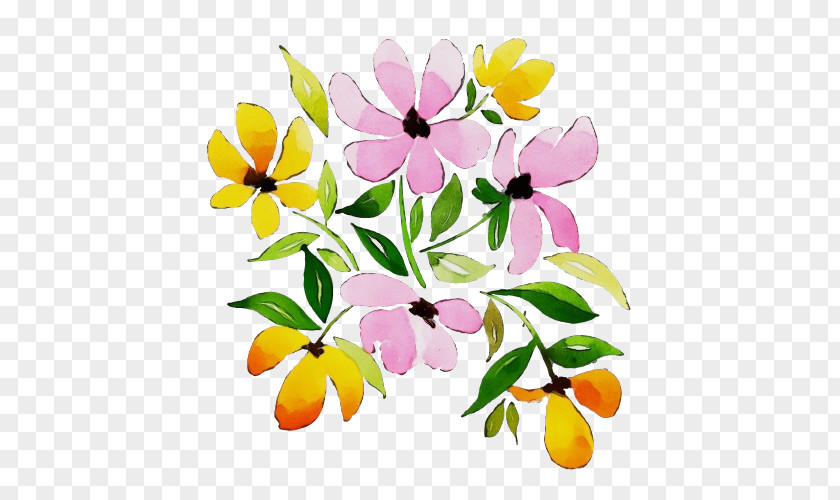 Impatiens Watercolor Paint Flower Background PNG