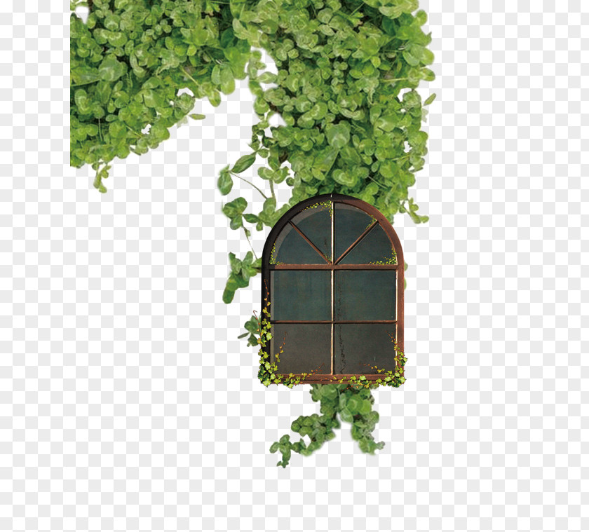 Background Leaves Windows Window PNG