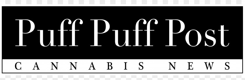 Puff Pastry Profiterole Food Hemp Oil PNG