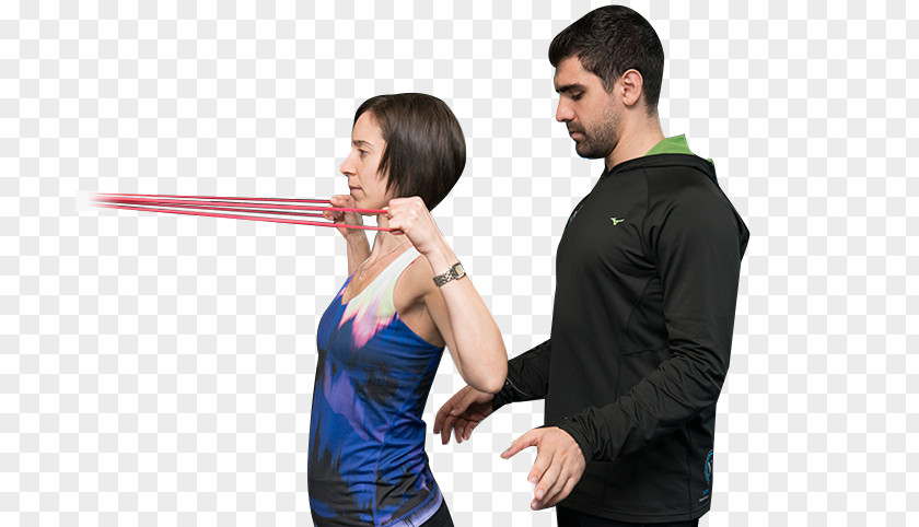 American Society Of Exercise Physiologists Physiology New Image Personal Training Shoulder PNG