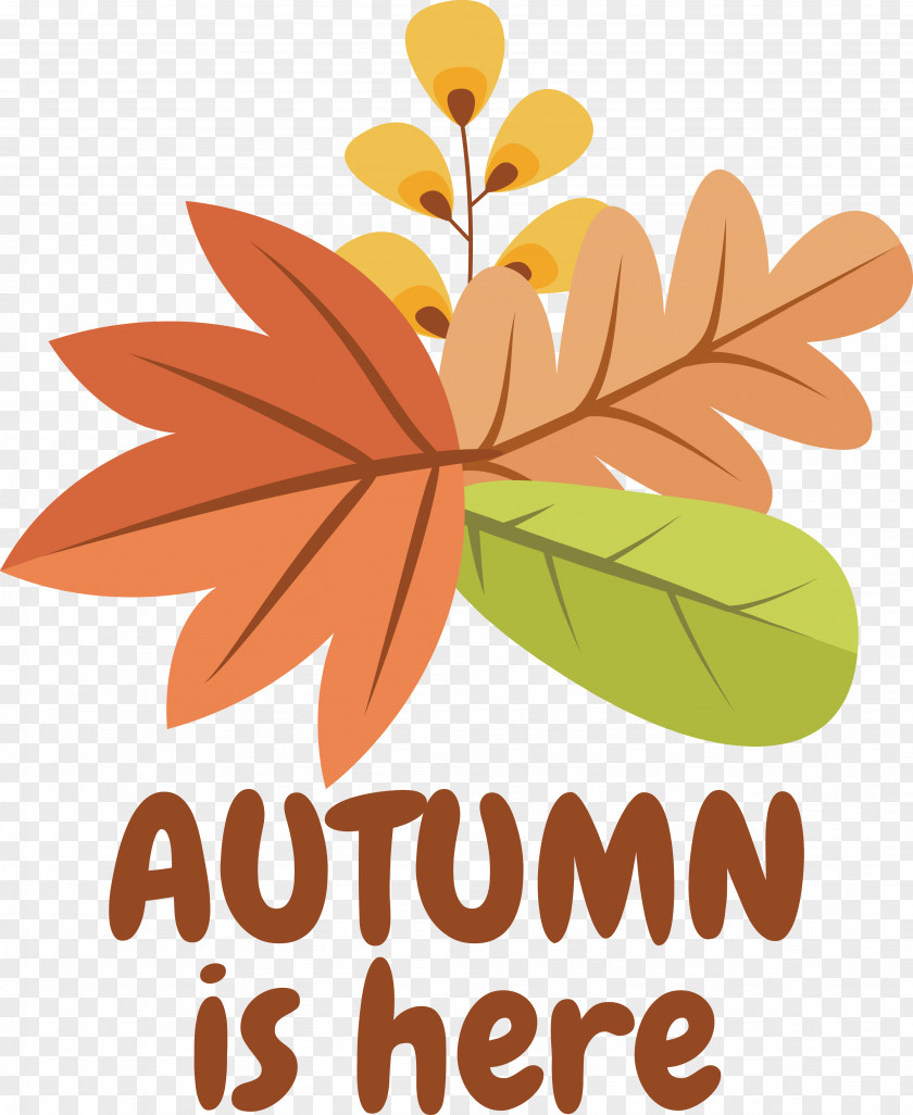 Icon Drawing Autumn Logo PNG