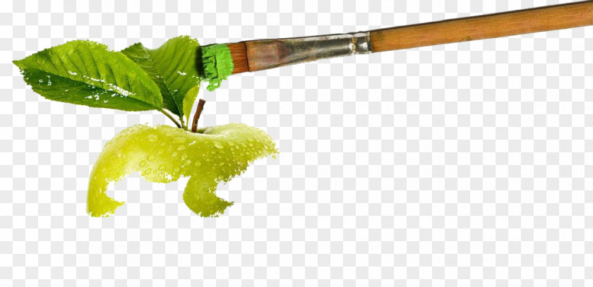 Paint Pen Leafy Green Apple Juice Paper Vegetarian Cuisine Business Cards PNG