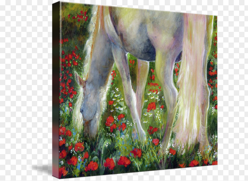 Poppy Field Watercolor Painting Gallery Wrap Acrylic Paint PNG