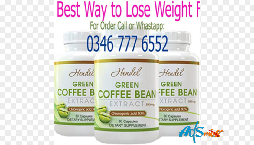 Coffee Green Extract Dietary Supplement Bean PNG