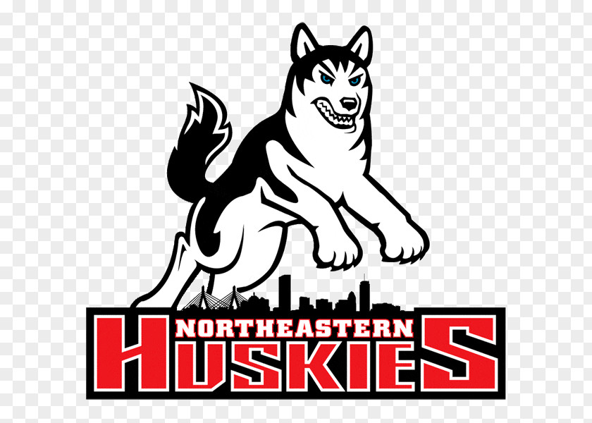 Husky Northeastern University Rugby Club Dartmouth College Of Connecticut Huskies Men's Basketball PNG