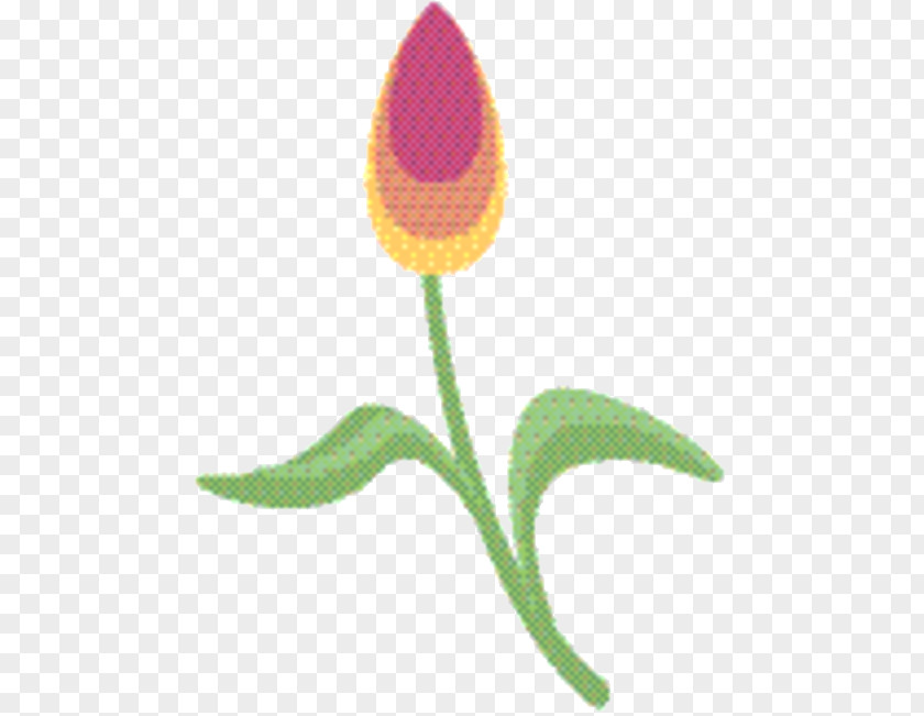 Pedicel Leaf Tulip Flower PNG