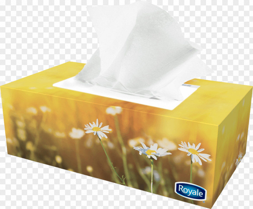 Box Paper Towel Facial Tissues Royale PNG
