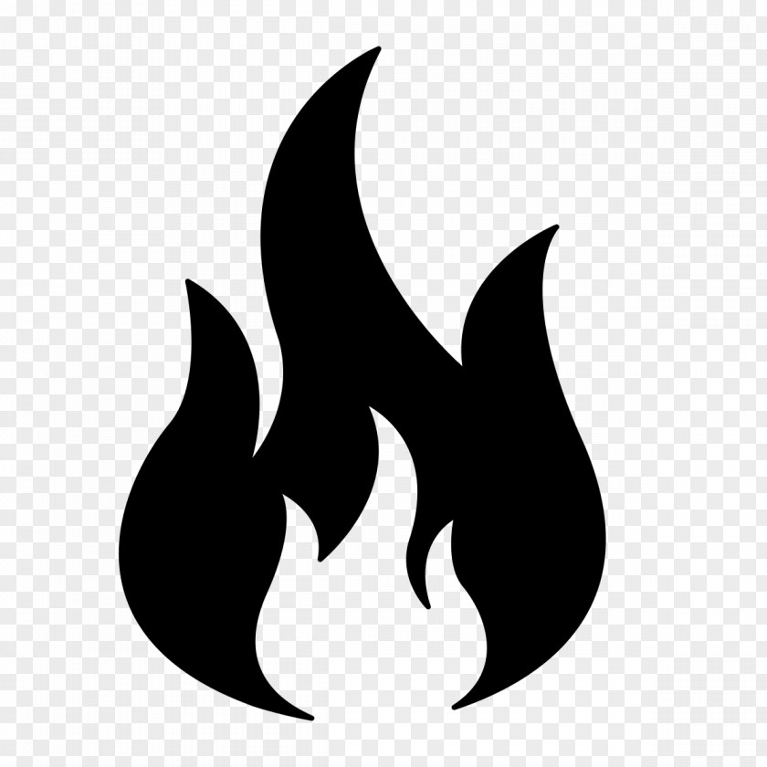 Campfire Fire Flame Combustibility And Flammability PNG