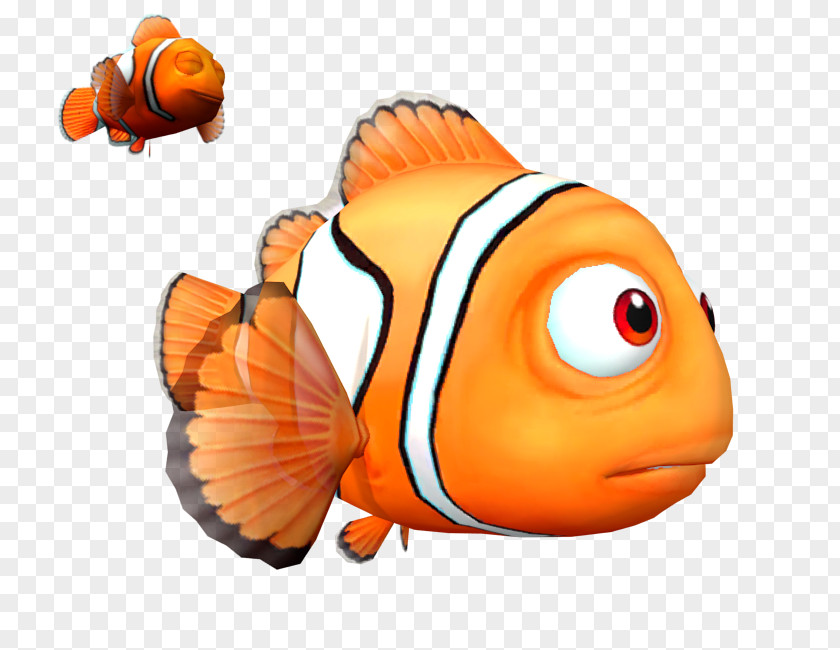 Clip Art Marine Biology Fish Orange S.A. PNG