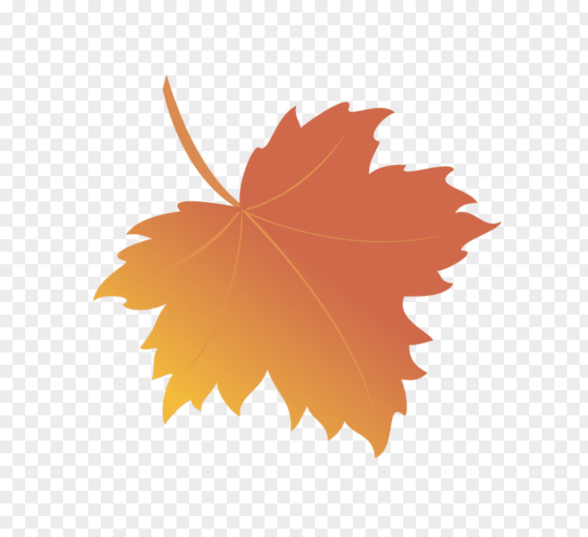 Leaf Maple Royalty-free PNG