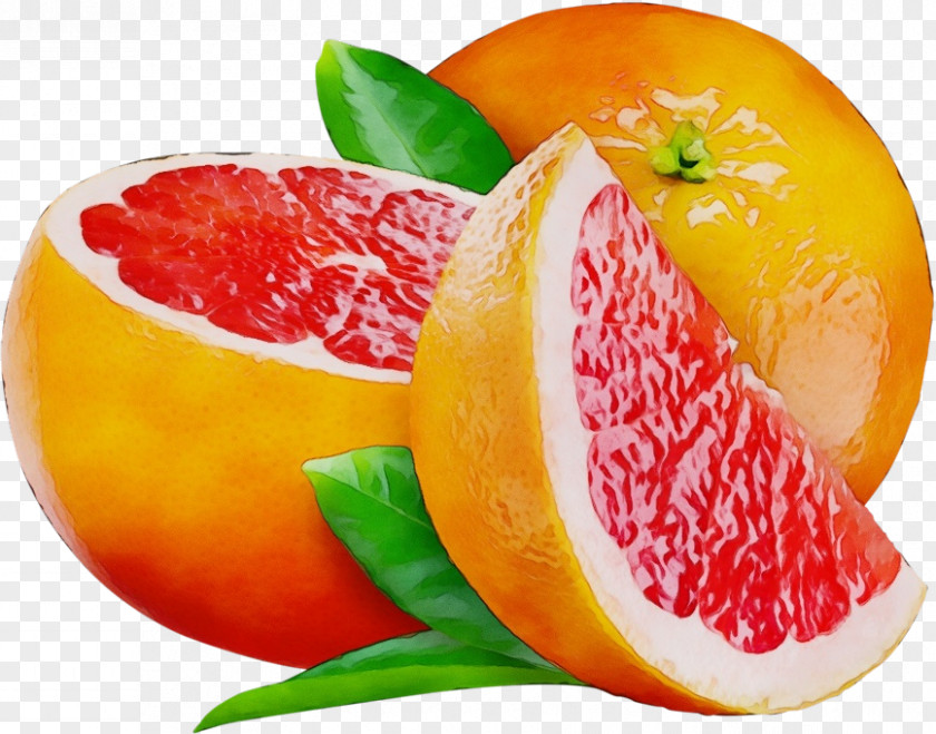 Pomelo Tangerine Orange PNG