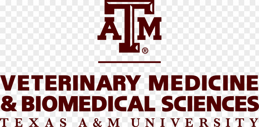 Veterinary Texas A&M College Of Medicine & Biomedical Sciences Veterinarian University Education PNG