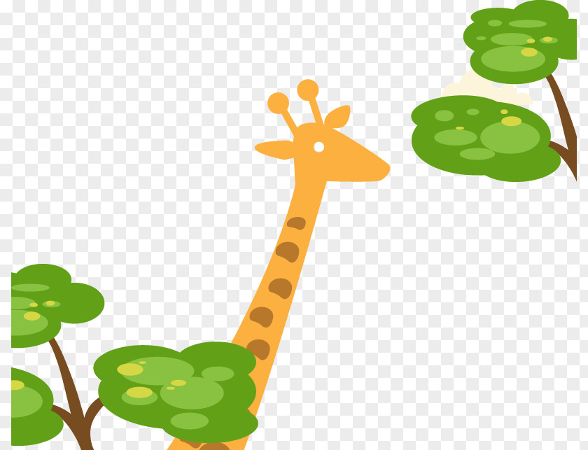 Giraffe Grazing Northern Poster Clip Art PNG