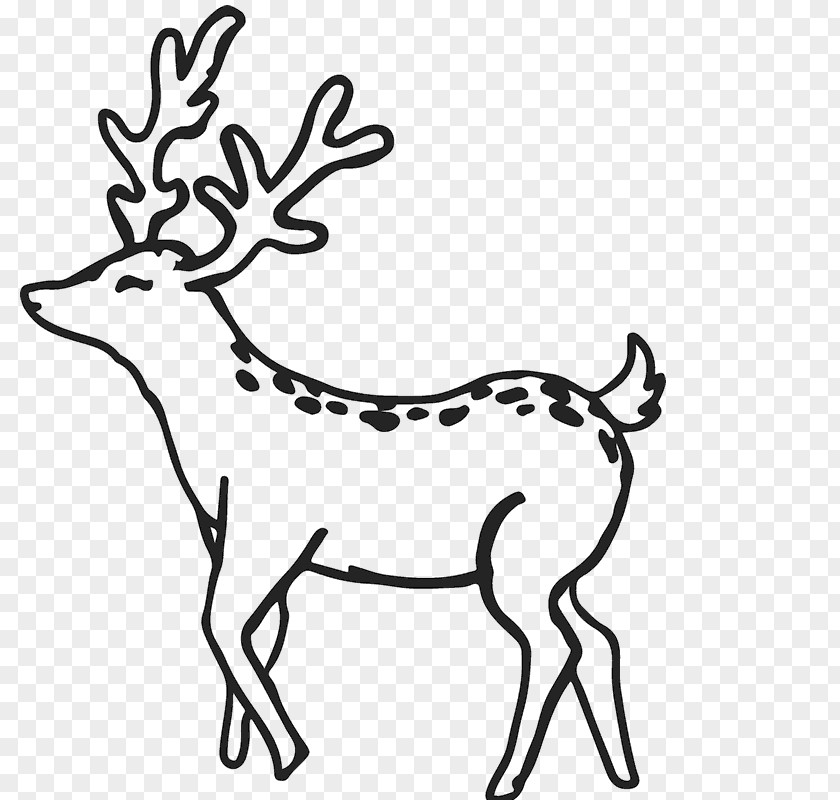 Reindeer Antler White-tailed Deer Clip Art PNG