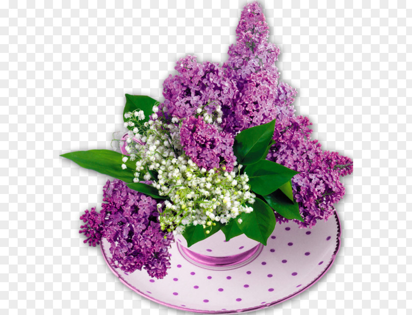 Flower Common Lilac Lily Of The Valley Lilium PNG