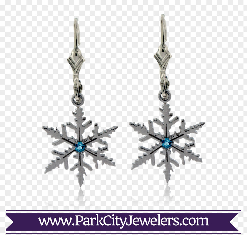 Jewellery Earring Gemstone Snowflake Charms & Pendants PNG