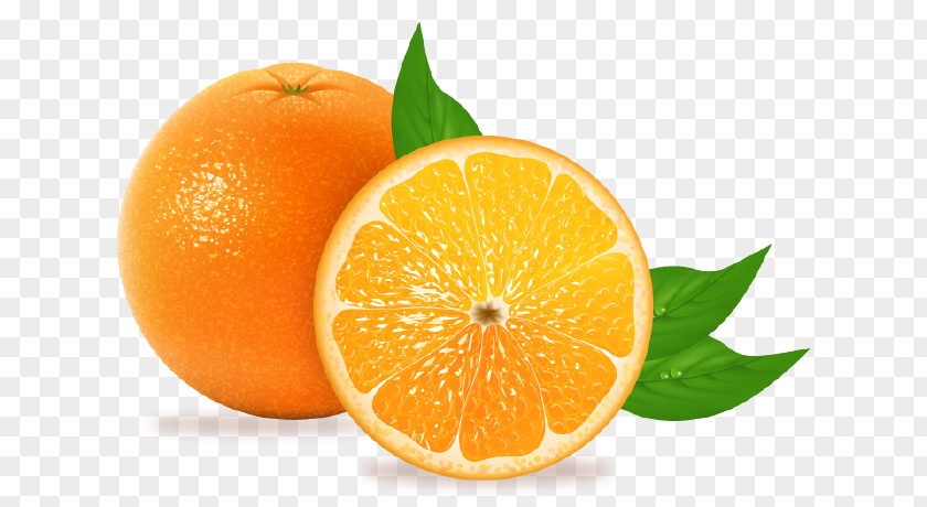 Juice Blood Orange Tangelo Tangerine Mandarin PNG