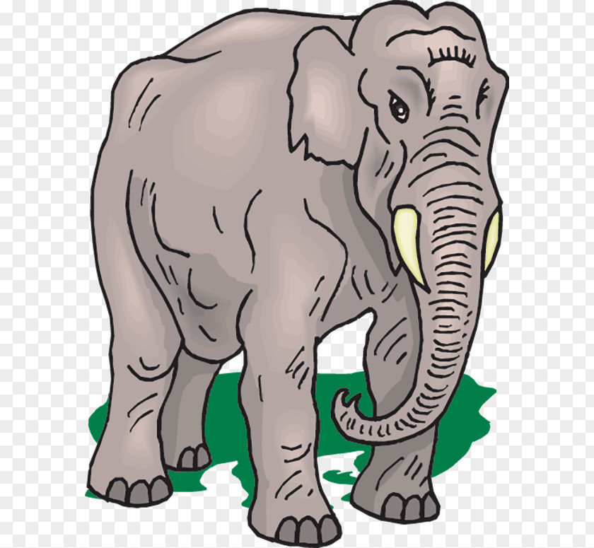 Elephant Asian African Clip Art PNG