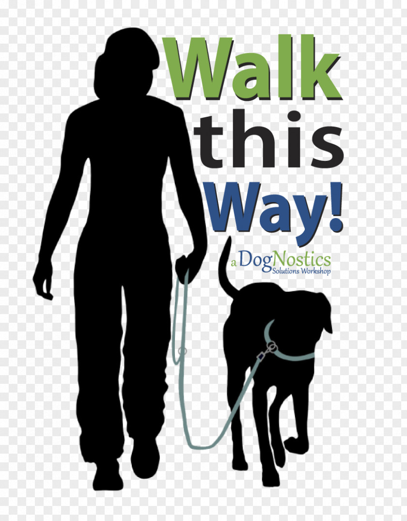 Highland Canine Training Tampa Clearwater Bernese Mountain Dog Loose Leashes Walking PNG