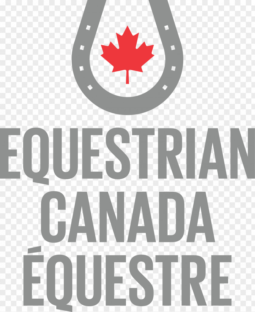 Horse Equestrian Canada Equine Centre PNG