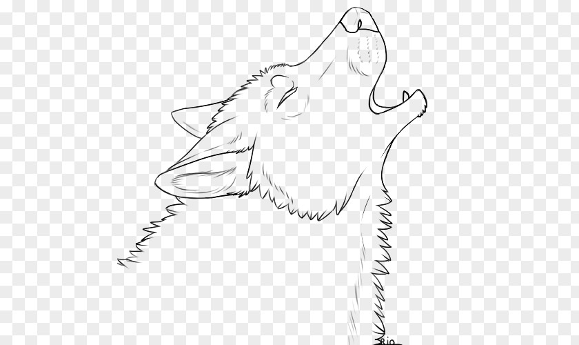 Howling Gray Wolf Line Art Drawing Clip PNG