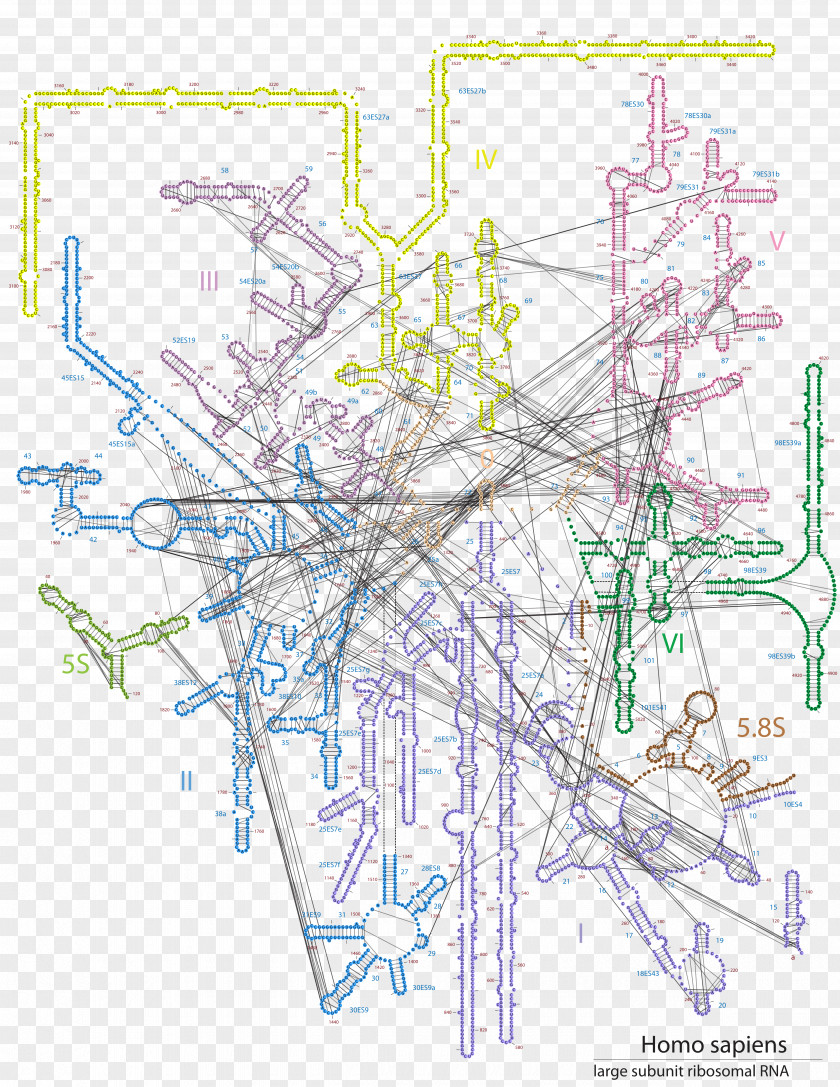 Line Drawing Urban Design Point PNG