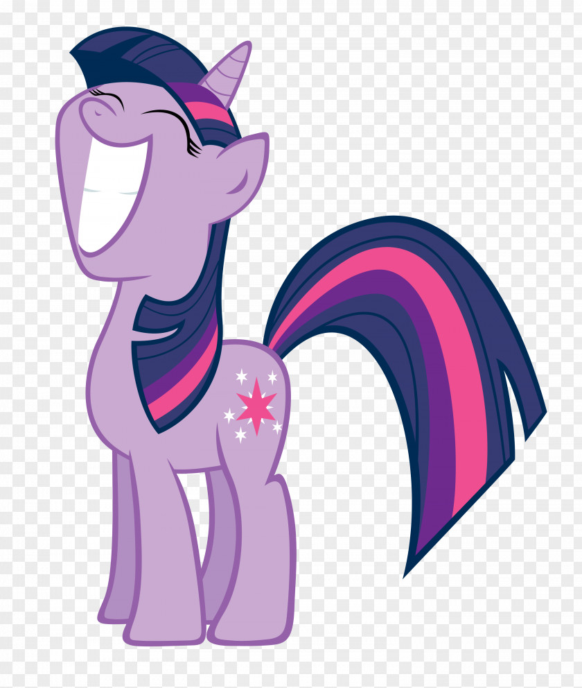 My Little Pony Twilight Sparkle Derpy Hooves PNG