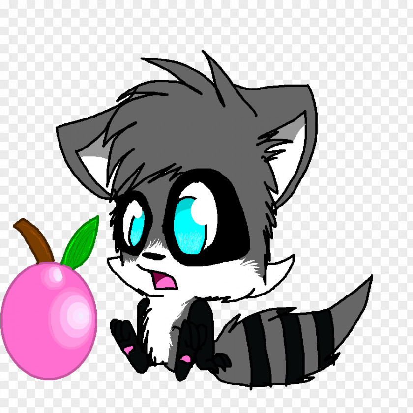 Raccoon Whiskers Rocky Drawing Cat PNG