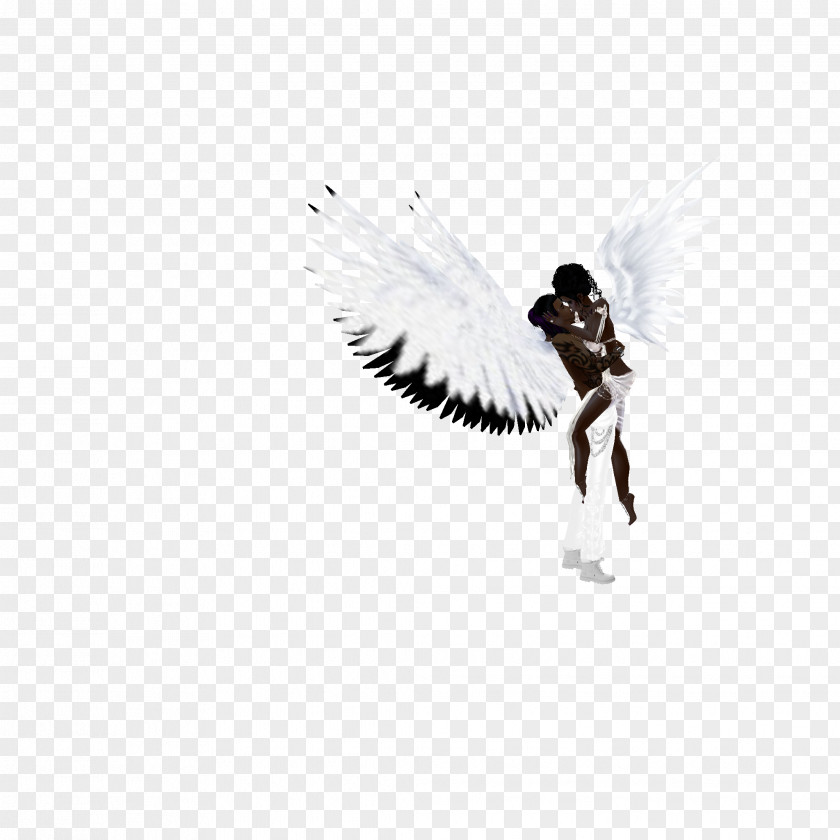 Wolf Avatar Desktop Wallpaper White Computer Feather PNG